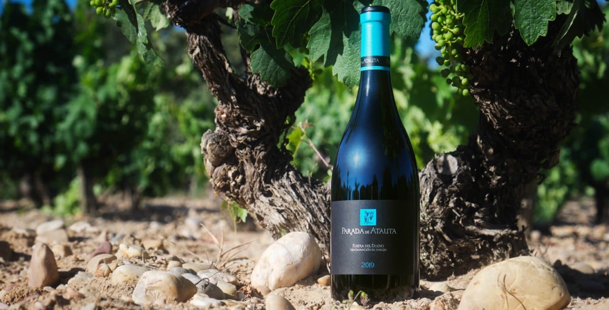 2018 Dominio di Atauta, Parada de Atauta Ribera del Duero