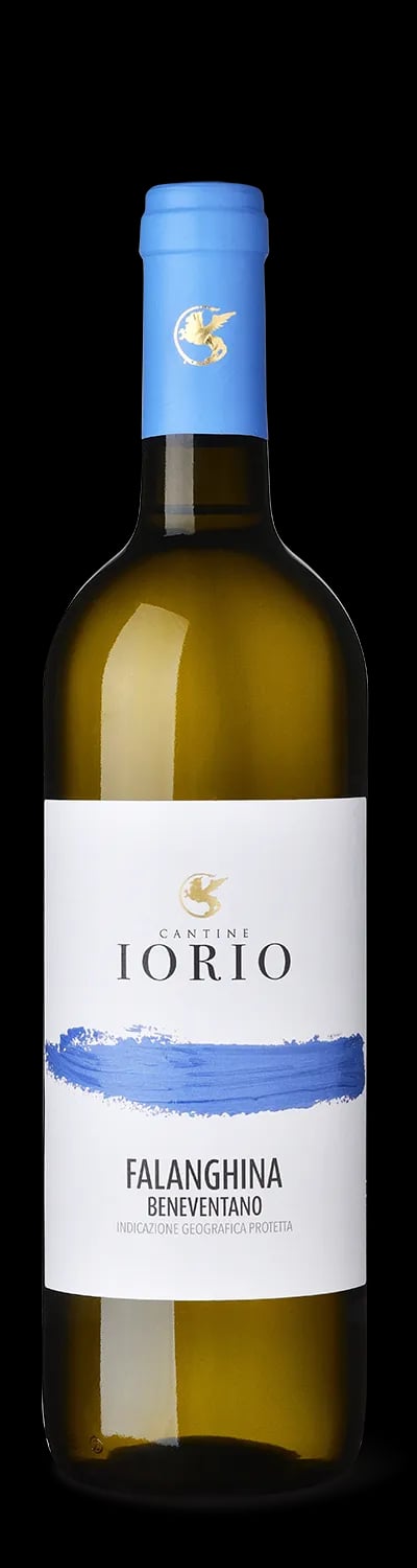 2024 Cantine Iorio Falanghina Beneventano