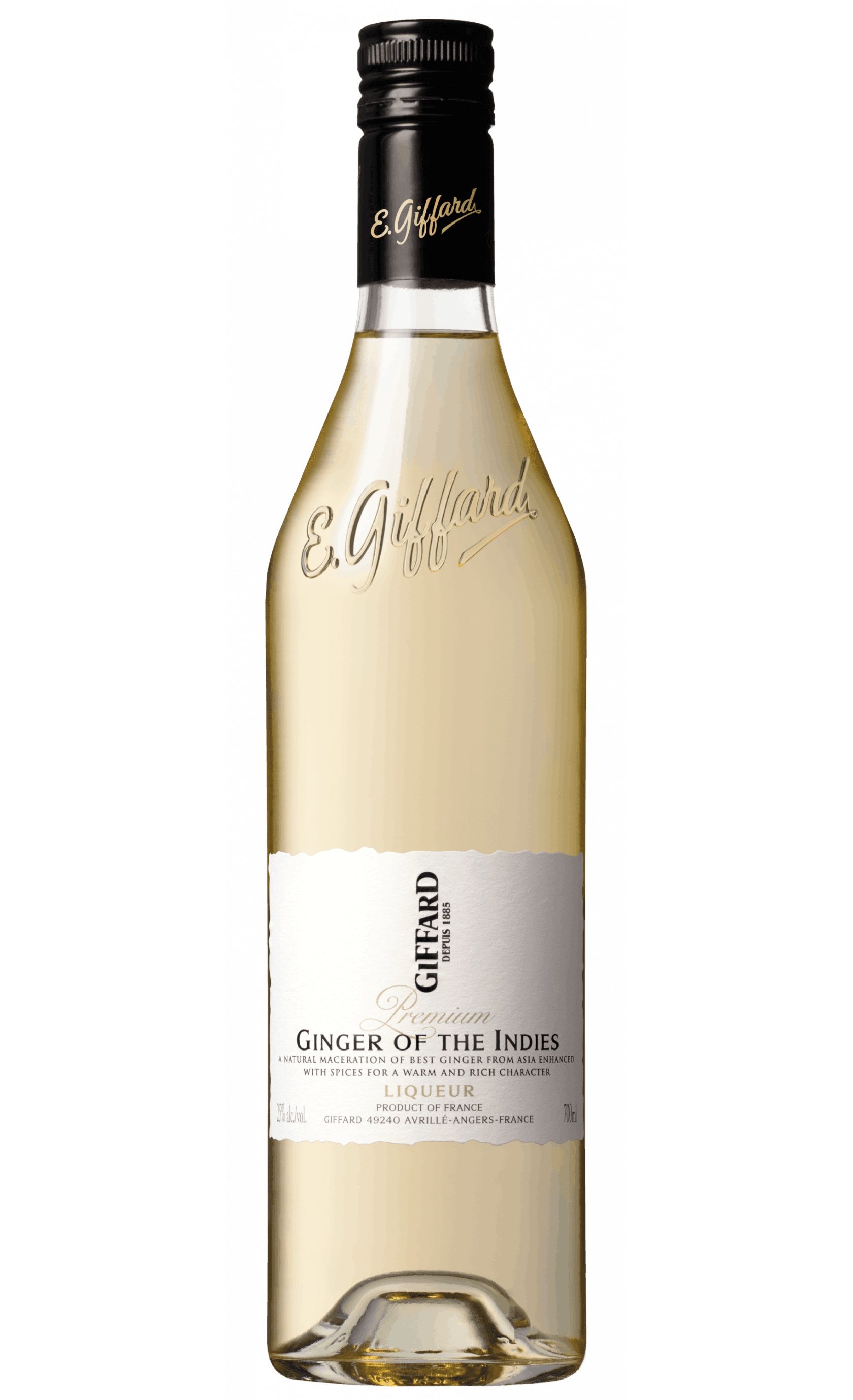 Giffard Ginger of the Indies